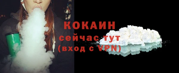 прущие грибы Абаза