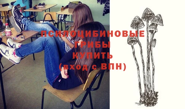 твердый Алексеевка