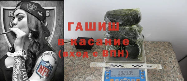 прущие грибы Абаза