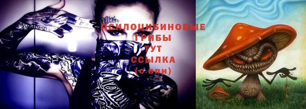 apvp Алзамай